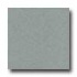 Amtico Microspec 12 X 12 Microspec Shadow Vinyl Fl