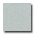 Amtico Microspec 12 X 12 Microspec Mist Vinyl Floo