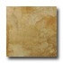 Tesoro Elegance 20 X 20 Noce Tile & Stone