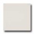 Marazzi Le Cromie Polished 12 X 12 Alabastro Tile & Stone
