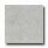 Portobello Galleria 12 X 12 Polished Ticiano Grigio Tile & Stone