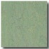 Armstrong Linorette Green Vinyl Flooring
