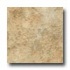 Domco Builders Choice - Caravelle 12153 Vinyl Flooring