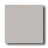 Crossville Cross-colors C 6 X 6 Polished Platinum Tile & Stone