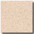 Armstrong Possibilities Petit Point Cappuccino Rose Vinyl Floori