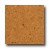 Apc Cork Floor Tile 4.8mm Nogar Cork Flooring