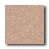 Crossville Cross-colors A 6 X 6 Polished Brown Tweed Tile & Ston