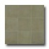 Casa Dolce Casa Clays 8 X 16 Caribbean Tile & Stone