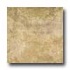 Tilecrest Alicia 20 X 20 Taupe Tile  and  Stone