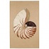 Capel Rugs Nautilus 5x8 Sand Area Rugs