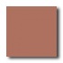 American Olean Terra Paver Unpolished 8 X 8 Clay Tile & Stone