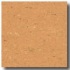 Armstrong Colorette Caramel Vinyl Flooring