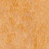 Forbo Marmoleum Dual Cotswold Vinyl Flooring
