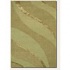 Couristan Anthians 3 X 4 Green Area Rugs