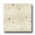 Santa Regina Designer 16 X 16 (antique) Cedar Fleck Terrazzo Til