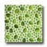 Tilecrest Cobblestone Series Mosaic Green Tile & Stone