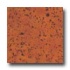 Natural Cork Square Tiles Malaga Matte Cork Floori