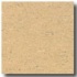 Armstrong Colorette Dark Beige Vinyl Flooring