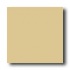 American Olean Unglazed Ceramic Mosaics - Hexagon