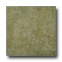 Portobello Empire 6 X 6 Mayan Tile & Stone