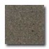 Santa Regina Designer 24 X 24 (natural) Pecan Brown Terrazzo Til