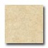 Cinca Limestone 20 X 20 Ivory Tile & Stone