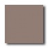 Crossville Cross-colors B 12 X 12 Ups Antico Taupe Tile & Stone