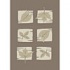 Carpet Art Deco Soft 5 X 8 Passion/taupe-whisper Area Rugs