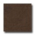 Ergon Tile Liegi 18 X 18 Marrone Wenge Tile  and  Ston