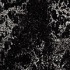 Forbo Marmoleum Real 1/10 Black Vinyl Flooring