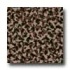 Tarkett Fiber Floors Easy Living - Gee I Camouflage Jungle Leave