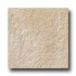 Ergon Tile Porfirites 12 X 12 Avorio Lacona Tile & Stone