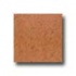 Interceramic Colortrends 16 X 16 Rust Tile & Stone