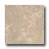 Florida Tile Creekside 12 X 12 Sand Taupe Tile & Stone