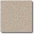 Daltile Porcealto (unpolished) 6 X 6 Pepe Grigio Tile & Stone