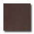 Daltile Kimona Silk 24 X 24 Chai Tea Tile & Stone