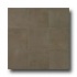 Casa Dolce Casa Clays 8 X 16 Metropolitan Tile & Stone
