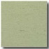 Armstrong Colorette Light Green Vinyl Flooring