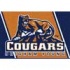 Milliken Brigham Young University 3 X 4 Brigham Young University