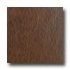 Congoleum Endurance Plank 6 X 36 Cinammon Vinyl Flooring