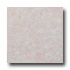 Earth Werks Venetian Stone 2201 Vinyl Flooring