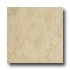 Emser Tile Agra 20 X 20 Beige Tile & Stone