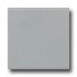 Daltile Keystones Permabrites Mosaic 2 X 2 Desert Gray Tile & St