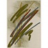 Carpet Art Deco Vision Ii 8 X 10 Arts/angora-hope Area Rugs
