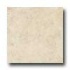 Iris Ceramica Earthstone 18 X 18 Durango Tile & Stone