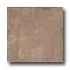 Pastorelli Sandstone 12 X 18 Anrochte Tile & Stone