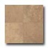 Rex Mamasion Rectified 24 X 24 Aube Tile  and  Stone