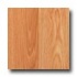 Witex Town And Country Premium Oak Laminate Floori