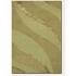 Couristan Anthians 2 X 8 Green Area Rugs