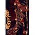 Momeni, Inc. New Wave 10 X 14 New Wave Black Area